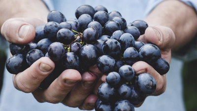 Formazione a progetto