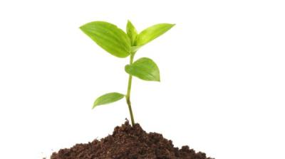 Hr recruiting advisory