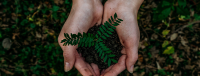 Campagne di Corporate Fundraising