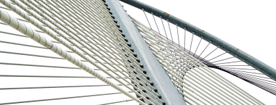 Consulenza filantropica