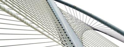 Consulenza filantropica