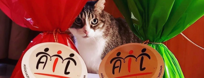 Consulenza Legale in Fundraising