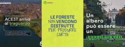 Campagne e strategie di marketing digitale